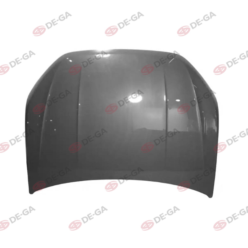KAPORTA - W.TAIGO MOTOR KAPUTU 21-